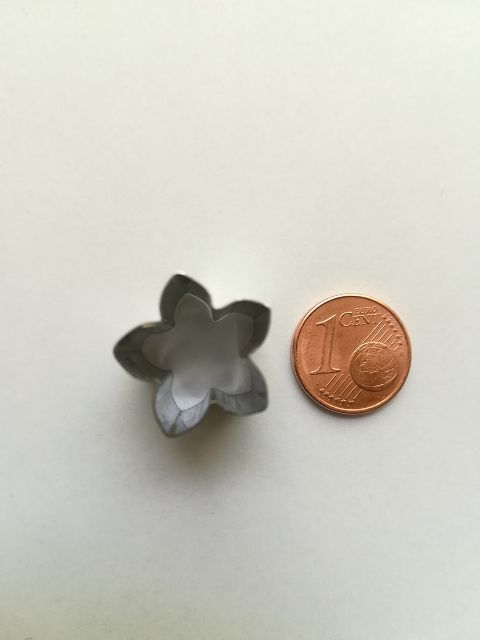 Blüte 15 mm